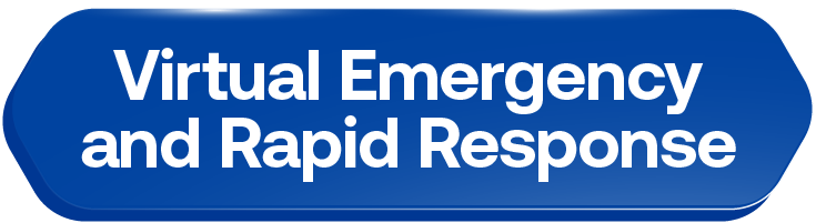 virtual emergency and rapid response