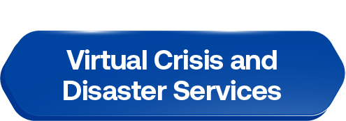 crisis and disaster services